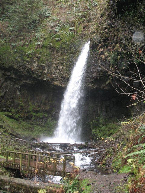 11.18.06 Latourell Falls 039 